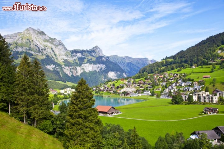 Immagine Engelberg in estate, Svizzera - Aria fresca, pascoli verdi, fiori profumati e panorami mozzafiato: è il suggestivo scenario di Engelberg che ogni anno in estate accoglie turisti e amanti della montagna. Fra le tante attività in cui cimentarsi con sono escursioni sui sentieri, itinerari da percorrere in bici, golf, arrampicate e parapendio ma anche trekking a dorso di mulo e corsi per imparare a fare il formaggio © VICTOR TORRES / Shutterstock.com