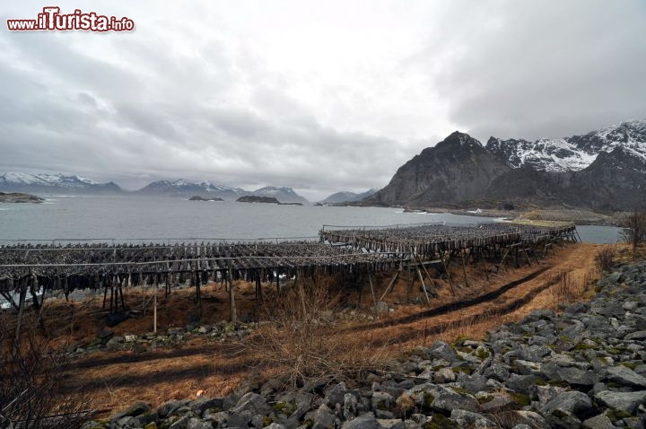 Immagine Paesaggio invernale a Henningsvaer Lofoten