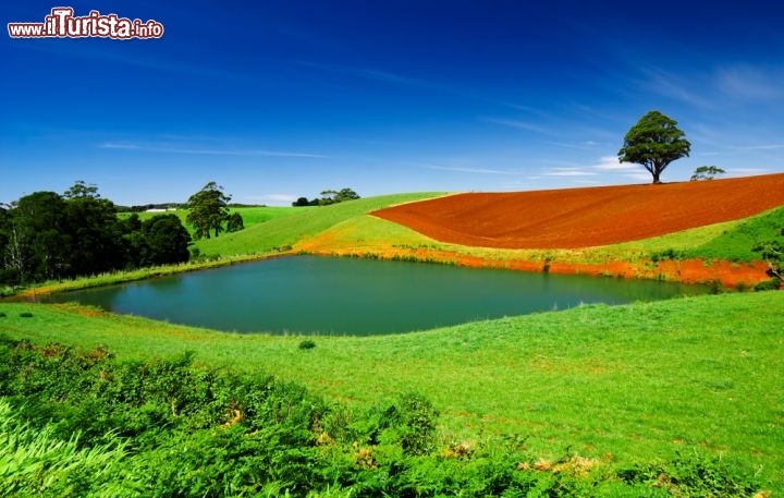 Immagine Paesaggio rurale "downunder": le colorate campagne della Tasmania, lo "stato-isola" dell'Australia - © kwest / Shutterstock.com