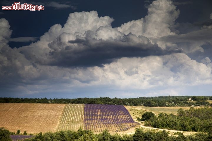 Immagine Paesaggio tipico della Provenza .Ci troviamo a nord di Apt, in Francia - © newphotoservice / Shutterstock.com