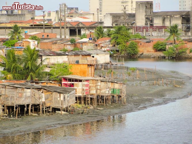Immagine Palafitte a Recife durante la bassa marea sulle coste del Pernambuco, in Brasile - © Vitoriano Junior / Shutterstock.com