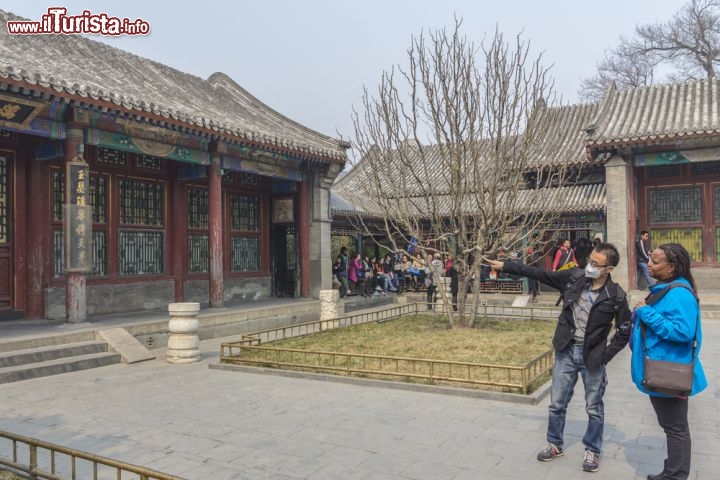 Immagine Il Palazzo d'Estate di Pechino, Cina - Conosciuto anche come Yiheyuan (che in cinese significa "Giardino dell'armonia educata"), il Palazzo d'Estate è dominato dalla collina della longevità che si innalza per 60 metri e dal lago Kunming estendendosi su una superficie di 2,9 km quadrati di cui il 75% è rappresentato da acqua. Negli oltre 70 mila metri quadrati su cui è costruito il complesso di edifici si trovano palazzi, giardini e altre imponenti strutture architettoniche. Nel 1998 il Palazzo d'Estate di Pechino è stato dichiarato Patrimonio dell'Umanità dall'Unesco © Shaun Robinson / Shutterstock.com