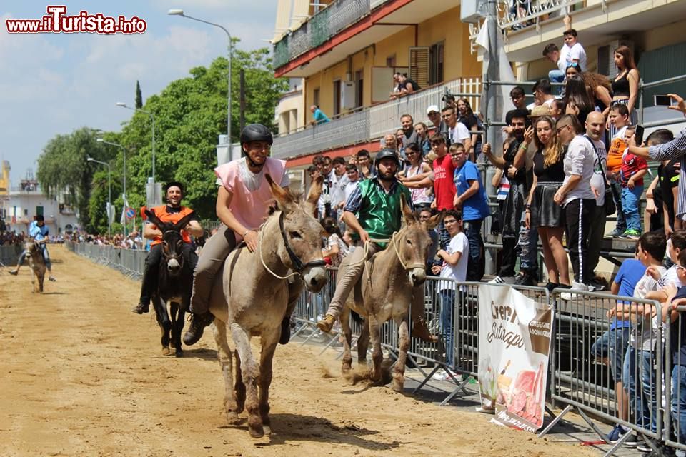 Palio del Casale Cicciano