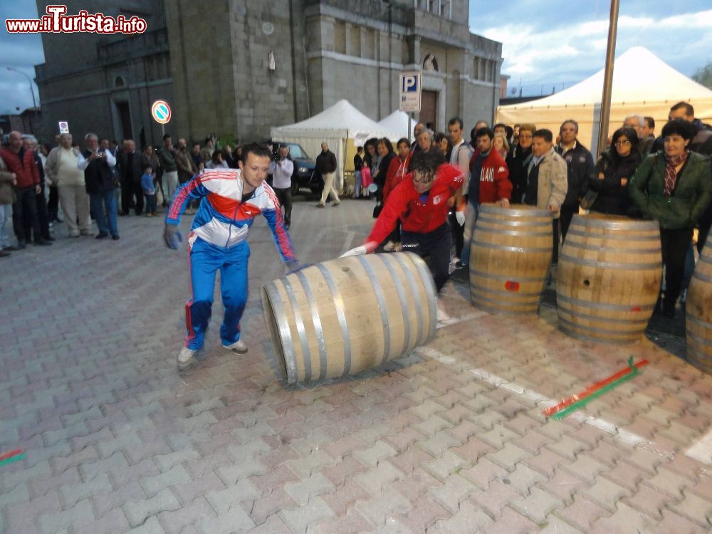 Palio di San Martino - Corsa delle Botti Castell\'Umberto