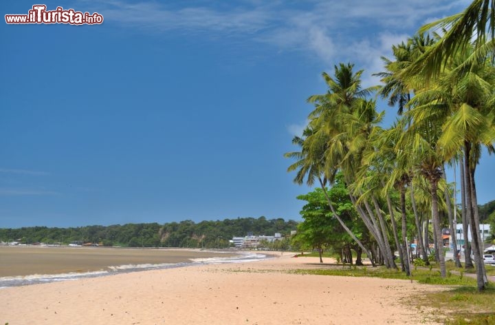 Immagine Palme e oceano a Joao Pessoa incorniciano una delle spiagge più note dello stato di Paraiba in Brasile - © Vitoriano Junior / Shutterstock.com