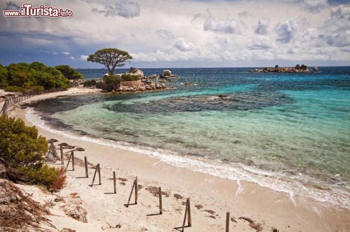 Immagine Palombaggia la spiaggia di Porto Vecchio in Corsica: è considerata una delle più belle di tutto il Mediterraneo - © DUSAN ZIDAR / Shutterstock.com