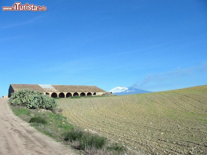 Immagine Panorama delle campagne nei dintorni di Ramacca: sullo sfondo l'inconfondibile profilo del Vulcano Etna - © Pro Loco Ramacca