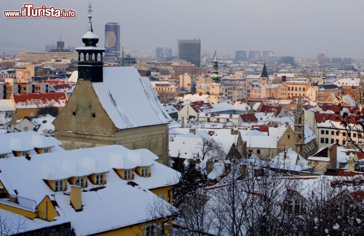 Immagine Panorama invernale su Bratislava, Slovacchia - Nella zona occidentale del paese dove sorge la capitale, il clima è moderatamente continentale con inverni freddi e estati abbastanza calde. Le precipitazioni sono piuttosto frequenti tutto l'anno: nei mesi invernali si trasformano in neve e nevischio. In questa immagine, i tetti della città ricoperti da un soffice strato nevoso - © Renata Sedmakova / Shutterstock.com