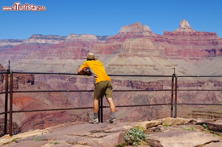 Immagine Panorama Plateau Point: un uomo contempla il panorama sconfinato del Grand Canyon, che si trova in Arizona, negli  Stati Uniti America - © Tom Grundy / Shutterstock.com