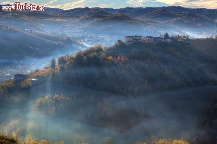 Immagine Panorama delle colline vicino a Alba, Piemonte, Italia - © Rostislav Glinsky / Shutterstock.com
