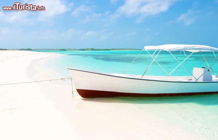 Immagine Un vero paradiso tropicale: una spiaggia a Los Roques in Venezuela, nei Caraibi meridionali - © Dmitry Burlakov / Shutterstock.com