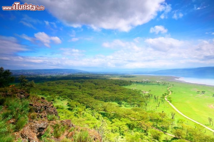 Immagine Il Parco Nazionale Lake Nakuru in Kenya. Il lago è famoso per i suoi fenicotteri rosa che a migliaia affollano le sue rive - © Anna Omelchenko / Shutterstock.com