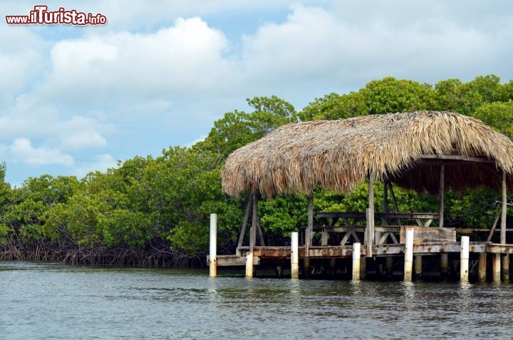 Immagine Il Parco Nazionale di Montecristi - si trova nella Repubblica Dominicana, al confine con Haiti, lungo la costa settentrionale dell'isola di Hispaniola, ed è un luogo ricco di natura, ideale per gli appassionati di birwatching