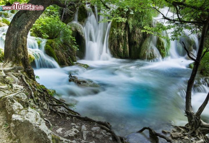 Immagine Una cascata del Parco Nazionale di Plitvice, Croazia - Tra un laghetto e l'altro, l'acqua azzurra cristallina di Plitvice scorre impetuosa rendendo ancora più selvaggio e incontaminato il panorama naturale offerto dal Parco Nazionale più grande della Croazia © udimir Jevtic / Shutterstock.com