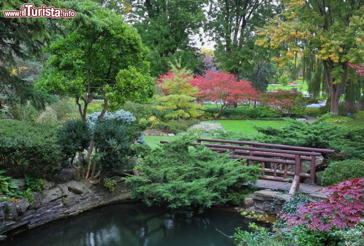 Immagine un parco urbano nel centro di Toronto in Ontario. La foto è stata scattata all'inizio dell'autunno, quando comincia la stagione del foliage in Canada - © alexsvirid/ Shutterstock.com