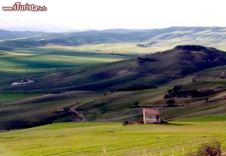 Immagine Paesaggio zona bradanica nei dintorni di Gravina di Puglia, provincia di Bari.