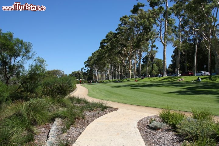 Immagine Passeggiata in un parco di Perth, Western Australia. 45041251