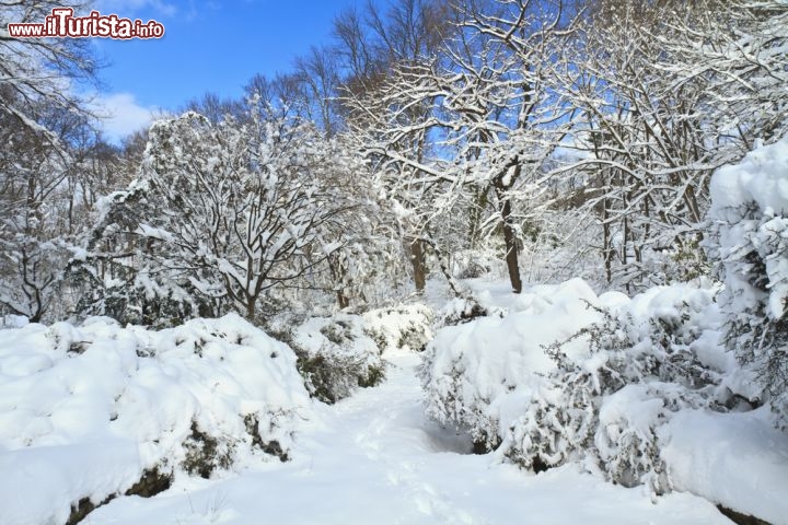 Immagine Passeggiata dopo una forte nevicata a Prospect Park, New York City, Stati Uniti. Una veduta panoramica di questo bel parco pubblico di 237 ettari situato nel borough di Brooklyn - © Colin D. Youn / Shutterstock.com