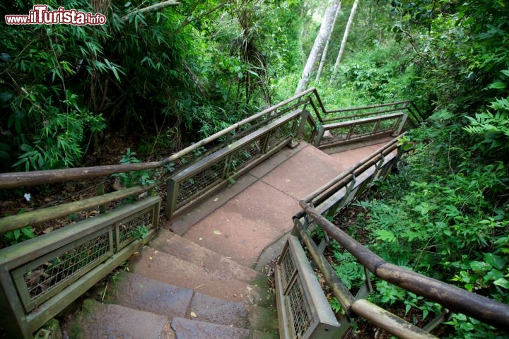 Immagine Passerella che conduce alle piattaforme di osservazione delle cascate di Iguaçu in Brasile e Argentina (Circuito Inferior) - © Jennifer Stone / Shutterstock.com