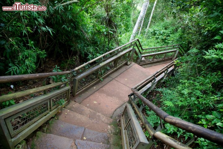 Immagine Passerella che conduce alle piattaforme di osservazione delle cascate di Iguaçu in Brasile e Argentina (Circuito Inferior) - © Jennifer Stone / Shutterstock.com