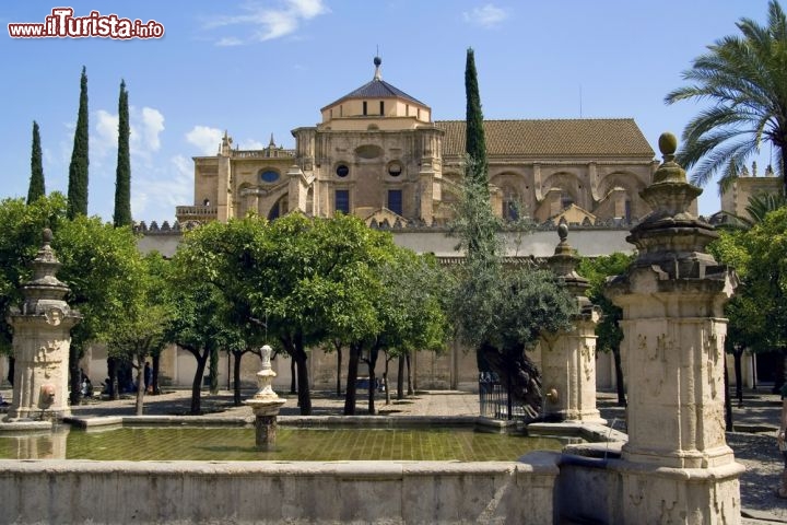 Immagine Patio de los Naranjos: siamo nella celebre Mezquita di Cordova, la ex moschea ora Cattedrale della bella città dell'Andalusia, in Spagna  - © Matt Trommer / Shutterstock.com