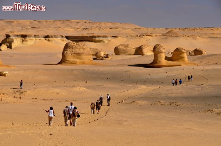 Immagine Il Percorso a piedi dentro al Parco Nazionale di Wadi al-Hitan, la valle delle Balene Egitto - In collaborazione con I Viaggi di Maurizio Levi