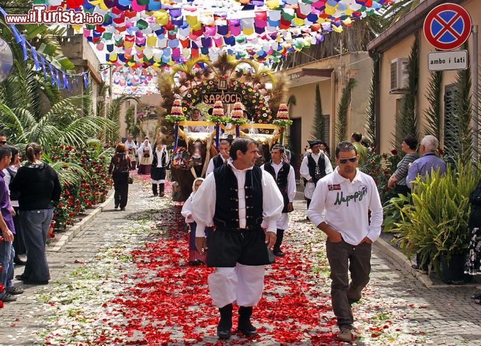 Immagine Petali di Rosa sul percorso della sfilata di Sant Efisio, la processione del 1° e 2 maggio che si muova da Cagliari fino alla spiaggia di Pula  - © Pecold / Shutterstock.com