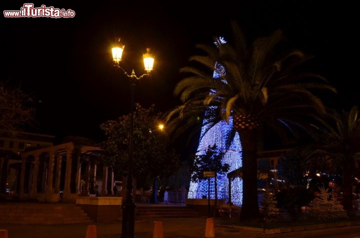 Immagine Albero di Natale in Place de Gaulle, Ajaccio