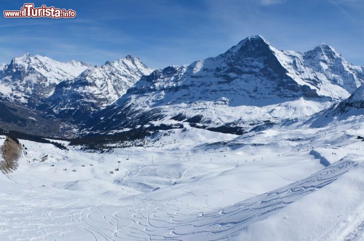 Immagine Pista da sci a Wengen, una delle più blasonate stazioni sciistiche delle Alpi Svizzere - © eFesenko / Shutterstock.com