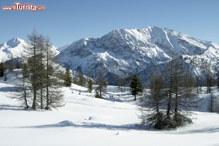 Immagine Le piste sci di Cesana Torinese fanno parte di quelle del comprensorio della Via Lattea  - © John Lindsay-Smith / Shutterstock.com