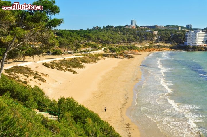 Immagine Platja Llarga, la bella spiaggia  della Costa Daurada si raggiunge facilmente da Reus, seguendo le indicazioni per Salou, Catalogna (Spagna)  - © nito / Shutterstock.com