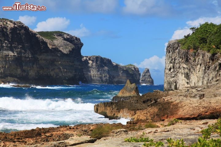 Immagine La Pointe de la Grande Vigie: queste magnifiche coste rocciose si trovano sulla punta nord della Grande Terre, "l'ala destra" di Guadalupa, l'isola a froma di farfalla - © Olga S. Andreeva / Shutterstock.com