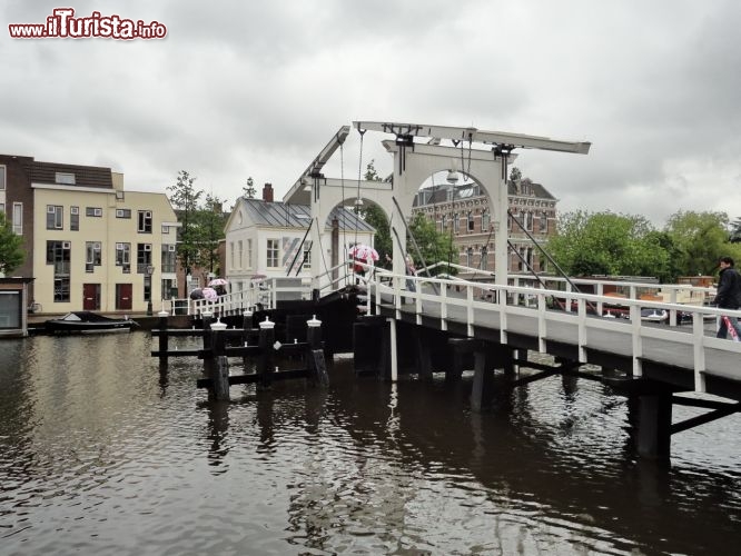 Immagine Ponte mobile a Leiden, nei Paesi Bassi