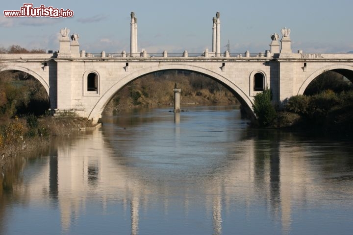 Immagine Ponte Milvio Roma Tevere 