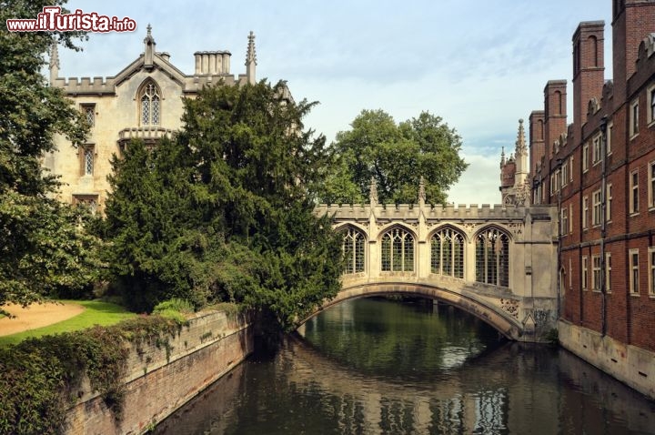 Immagine Ponte dei sospiri di Cambridge, Collegio di St.John in Inghilterra - Prende il nome dal celebre pontile di Venezia. Il Bridge of Sighs di Cambridge si trova nel St. John College e collega le due sponde del fiume Cam su cui si colloca la struttura accademica © r.nagy / shutterstock.com