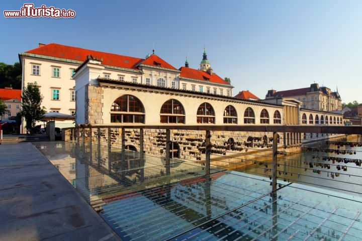 Immagine Ponte del drago sul fiume Ljubljanica, a Lubiana in Slovenia - © Tomas Sereda / Shutterstock.com