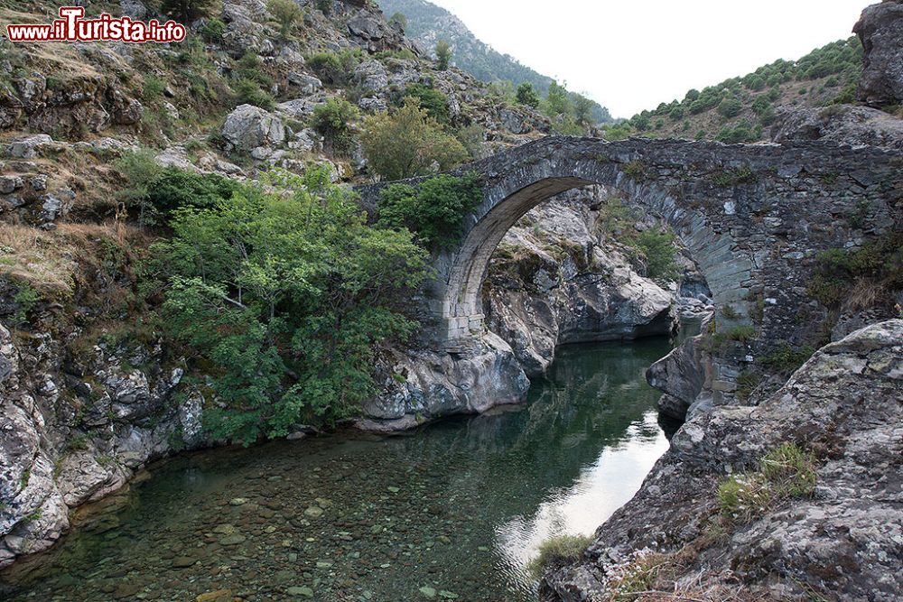 Immagine Il ponte genovese nei dintorni di Asco  - © Roberto Cornacchia / www.robertocornacchia.com