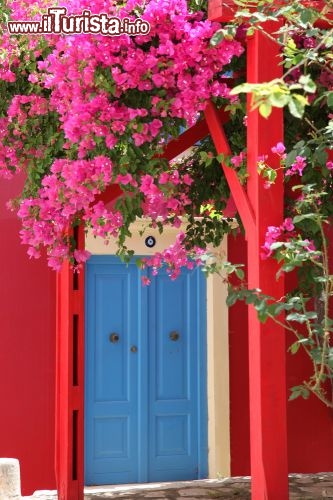 Immagine Una porta tipica dell'isola di Kastellorizo - Fiera alleata di Atene nella guerra contro i Persiani, questa piccola isola abbracciata dal Mediterraneo e a 2 km dalla Turchia, sua eterna guardiana, si tinge da sempre di colori sgargianti: quelli delle dimore dipinte così sin dall'epoca bizantina e quelli della lussureggiante vegetazione che ne contraddistingue specie floreali dai profumi intensi © dedi57 / Shutterstock.com