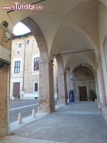 Immagine Portici su Piazza Duca Federico, Urbino