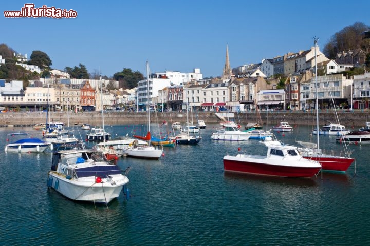 Immagine Il porto di Torquay sulle coste inglesi del Devon - La "Regina della Riviera", così è stata ribattezzata la città di Torquay, nel corso degli ultimi cinquant'anni ha conosciuto una crescita straordinaria che oggi le permette di proporre ai turisti un'offerta caratterizzata da eventi culturali e storici abbinati a scenari paesaggistici fra i pù suggestivi del Regno Unito. L'area portuale, con i viali fiancheggiati da lunghe fila di palme che riflettono le loro ombre sui locali in un susseguirsi di centinaia di metri, è fra le più belle di questa località balneare © ian woolcock / Shutterstock.com