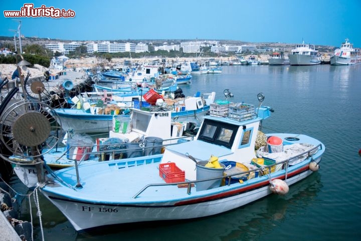Immagine Porto turistico di Agia Napa, sull'isola di Cipro - © Aleksandar Todorovic / Shutterstock.com