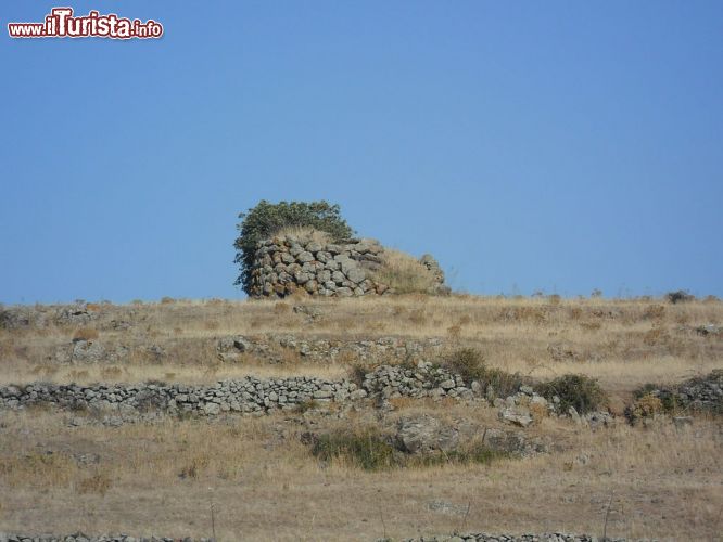 Immagine Pozzomaggiore, il Nuraghe Ruggiu. Sono circa 40 i nuraghe che caratterizzano il terriotio di questo borgo nella regione del Logudoro in Sardegna - © Alessionasche1990 - Wikipedia