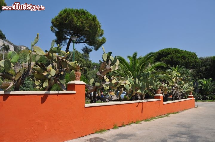 Immagine Pozzuoli, Campania: l'ingresso della Solfatara