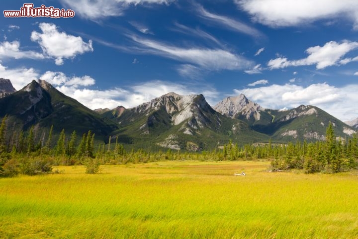 Immagine Il Jasper National Park nella provincia canadese di Alberta non è solo Montagne Rocciose: tra i picchi innevati si spalancano suggestive praterie - © Natalia Pushchina / Shutterstock.com