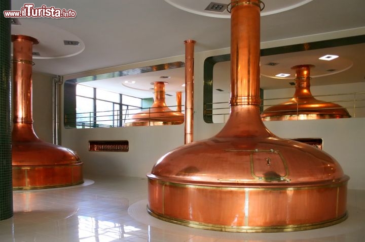 Immagine La fermentazione della birra a Pilsen in Boemia - © Nataliya Hora / Shutterstock.com