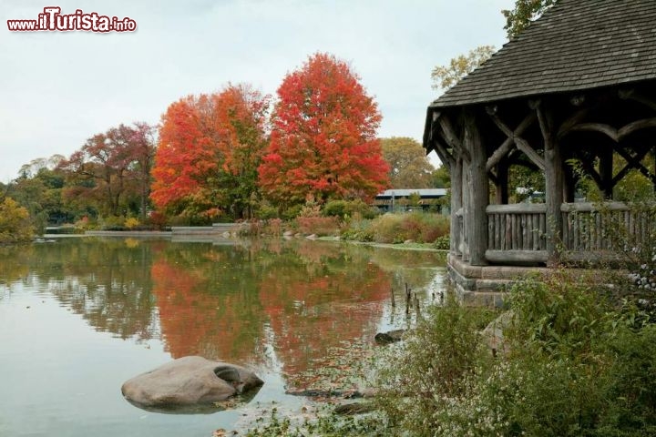 Immagine Panorama autunnale di Prospect Park a New York, Stati Uniti. Con i colori del foliage d'autunno lo scorcio paesaggistico offerto da questo parco è ancora più suggestivo - © JaysonPhotography / Shutterstock.com