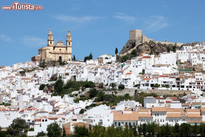 Immagine Il Pueblo bianco di Olvera in Spagna (Andalusia) - © Arena Photo UK / Shutterstock.com