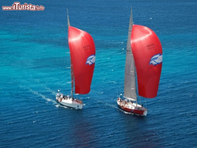 Immagine RC Reggatta Mount Gay Rum, una delle regate più famose a Barbados - Fonte: Barbados Tourism Authority