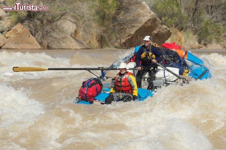 Immagine Rafting sul fiume Colorado, dentro il Grand Canyon dell'Arizona, negli USA - © Pacific Northwest Photo / Shutterstock.com