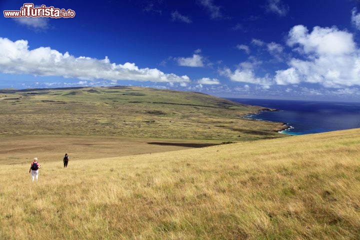 Immagine Rano kau è un vulcano, probabilmente estinto, dell'isola di Rapa Nui in Cile (Easter Island) - © Thomas Barrat / Shutterstock.com